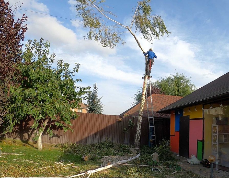 Работы на высоте | Альпинист | Спил деревьев | Монтаж