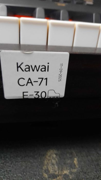 Pianino elektryczne Kawaii CA 71