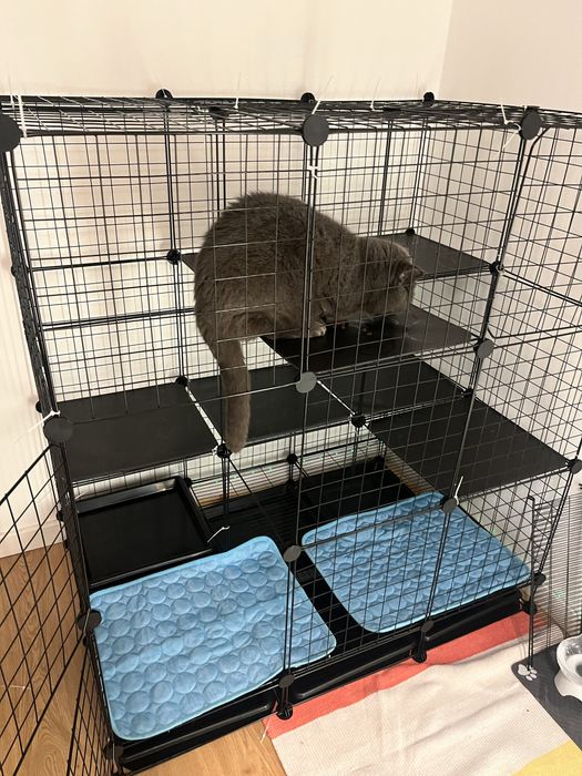 Jaula gaiola para animais
