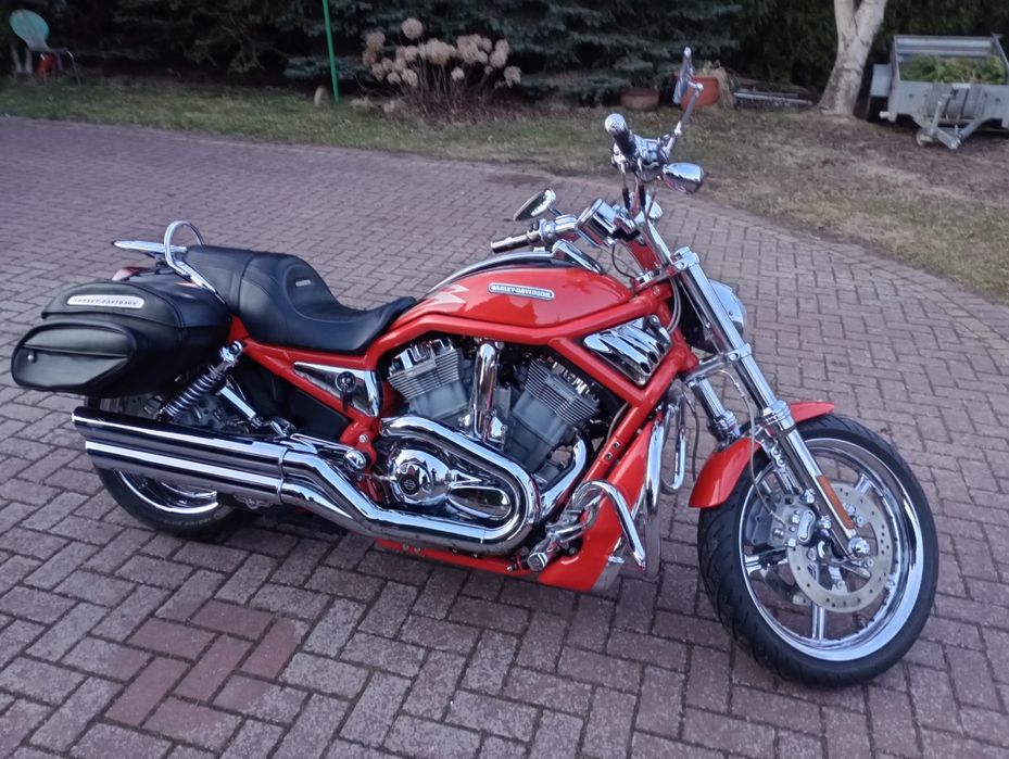 Harley Davidson Softal V-ROD