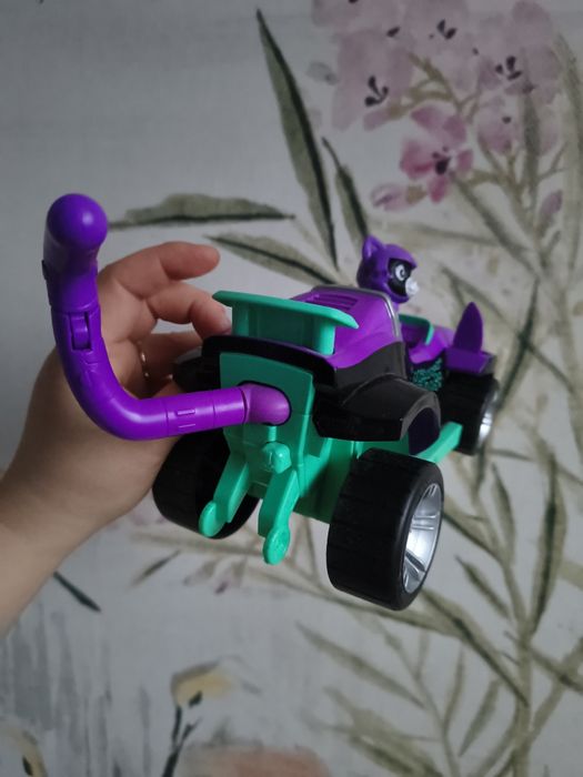 Shade kot kotek psi patrol kocia paczka załoga cat pack