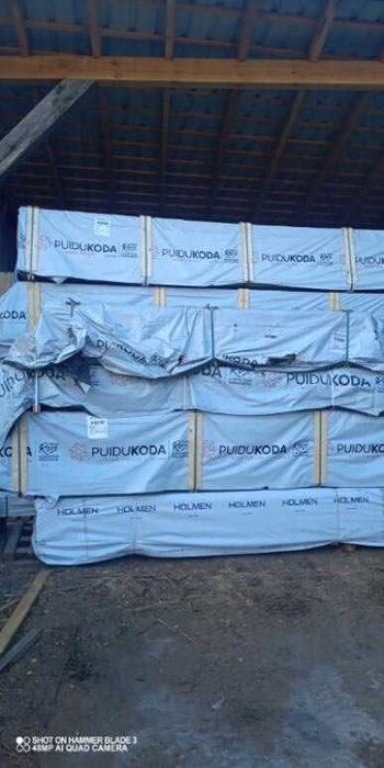 Świerk skandynawski