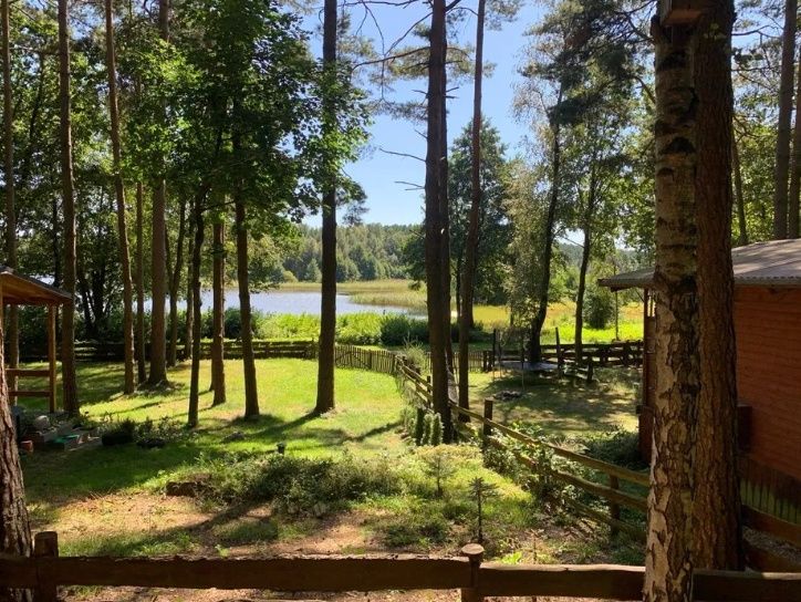 Sprzedam domek letniskowy w lesie Jeleńska Huta