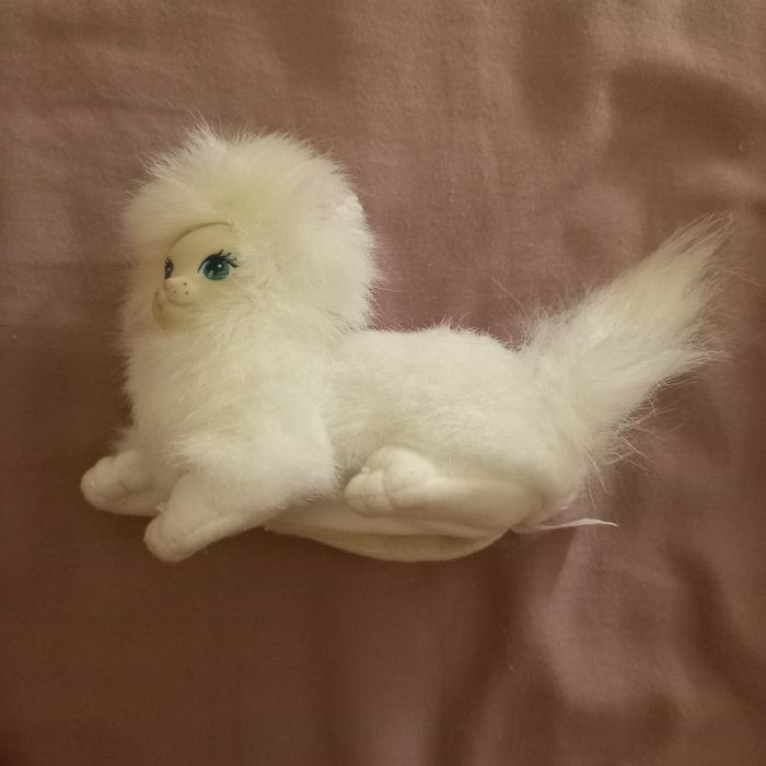 Gato da barbie olhos azuis