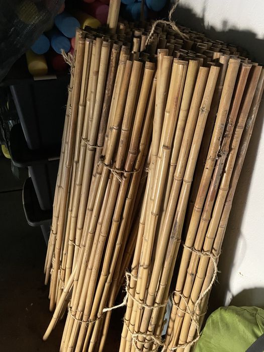Bambu 100cm x 2 cm