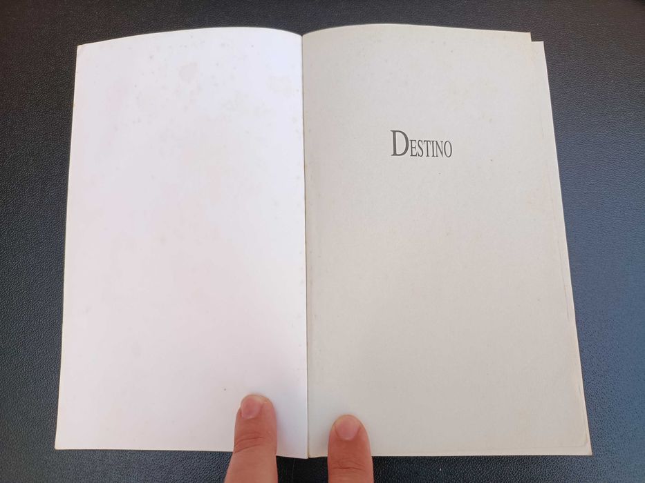 Livro "Destino", Danielle Steel