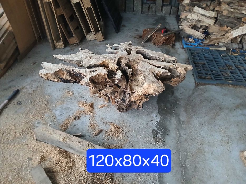 Raizes decorativas