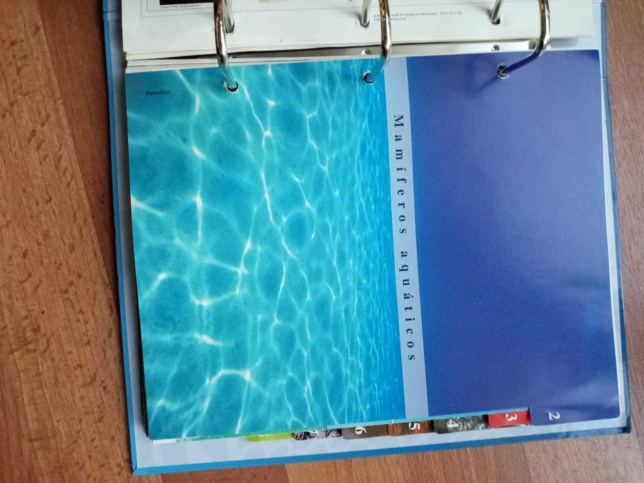 Livro do mundo animal