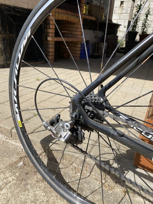 Focus Izalco Carbono