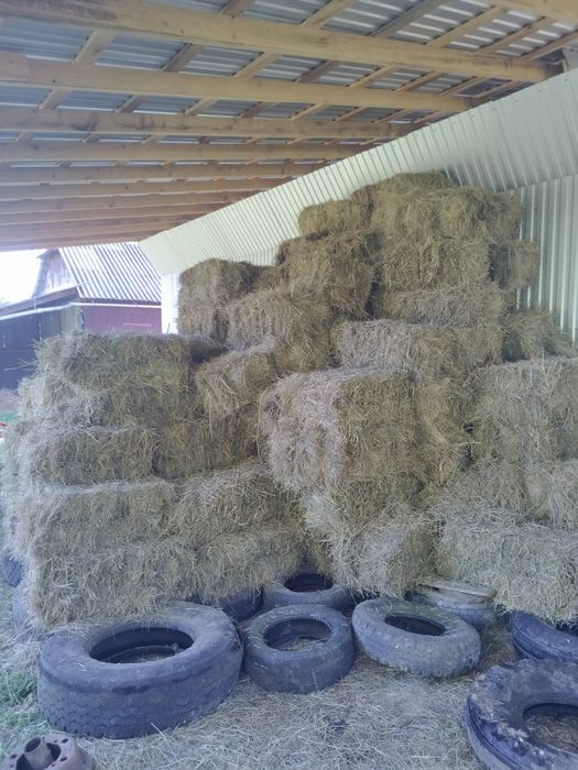 Тюки сіно солома 2025