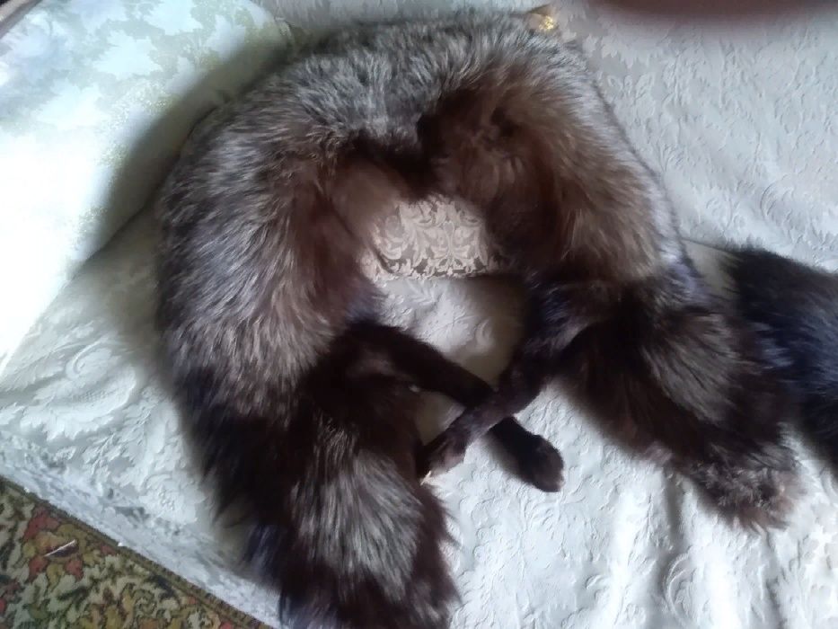 Воротники из чернобурки.