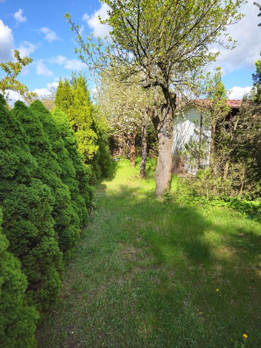 Działka ROD Złotniki 320 m2