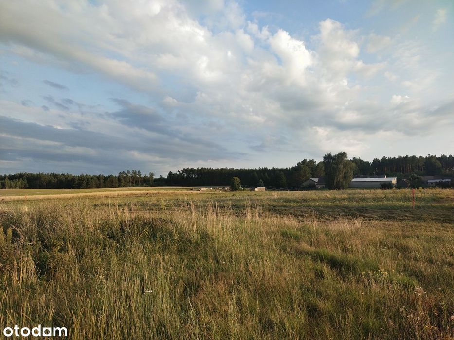 Duża działka 2700 m² z Warunkami Zabudowy . Tylko 37 zł za m2. Na wsi - Widok 3