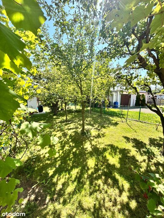 Na sprzedaż Gniezno- Dalki 1/2 bliźniaka 74m2 działka 350m2