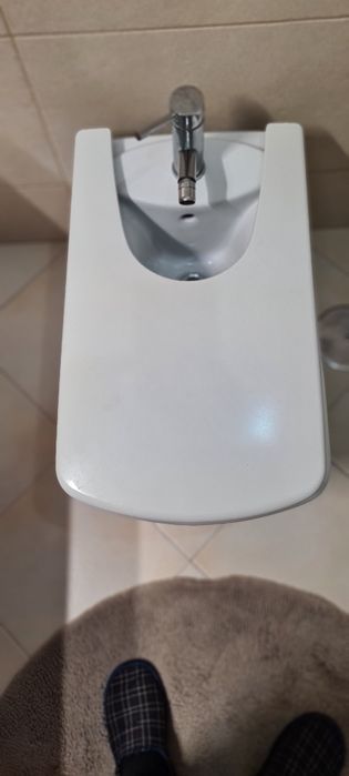 Sanita +Bidé + Lavatório  Roca Modelo Dama