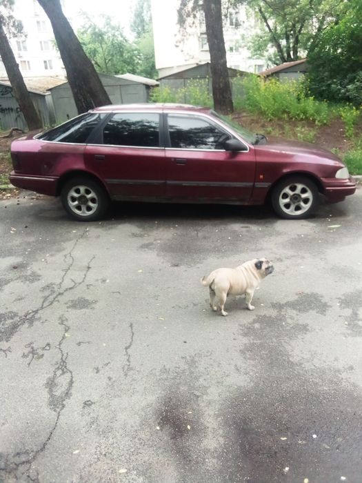 Ford Scorpio 2.0 dohc 1992 газ-бензин