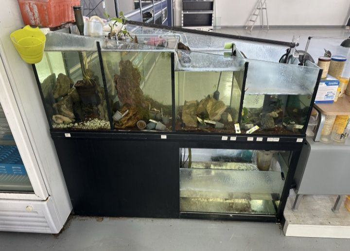 Cascata para peixes64283918594305121