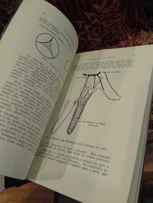 Maravilhas do Corpo Humano 1959 Edith E. Sproul