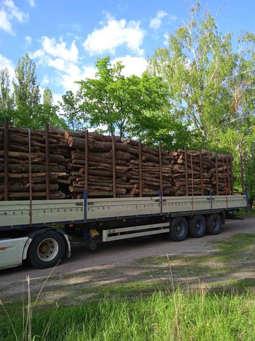 Дрова Дубові Опт з доставкою Київ та області