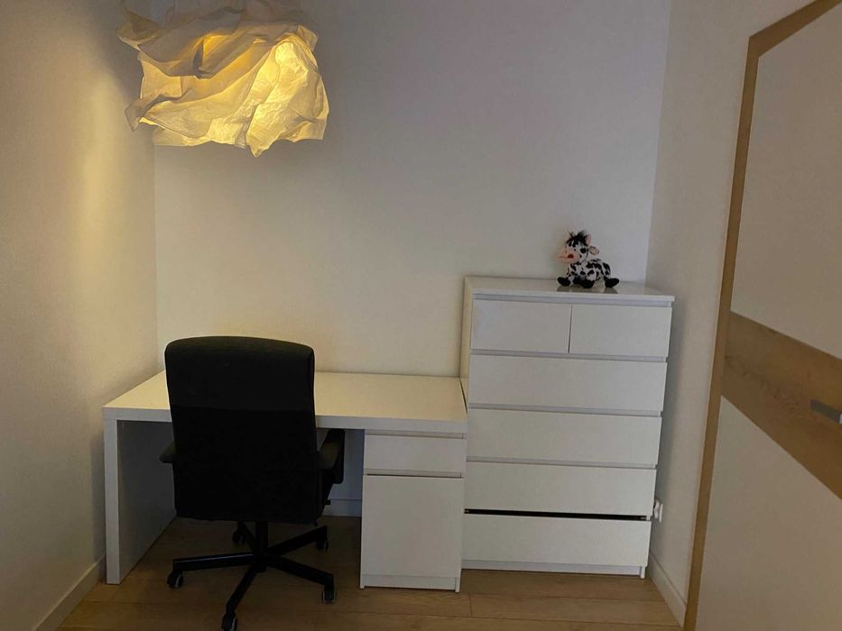 Nowoczesne mieszkanie do wynajęcia / Flat for rent - Więcej