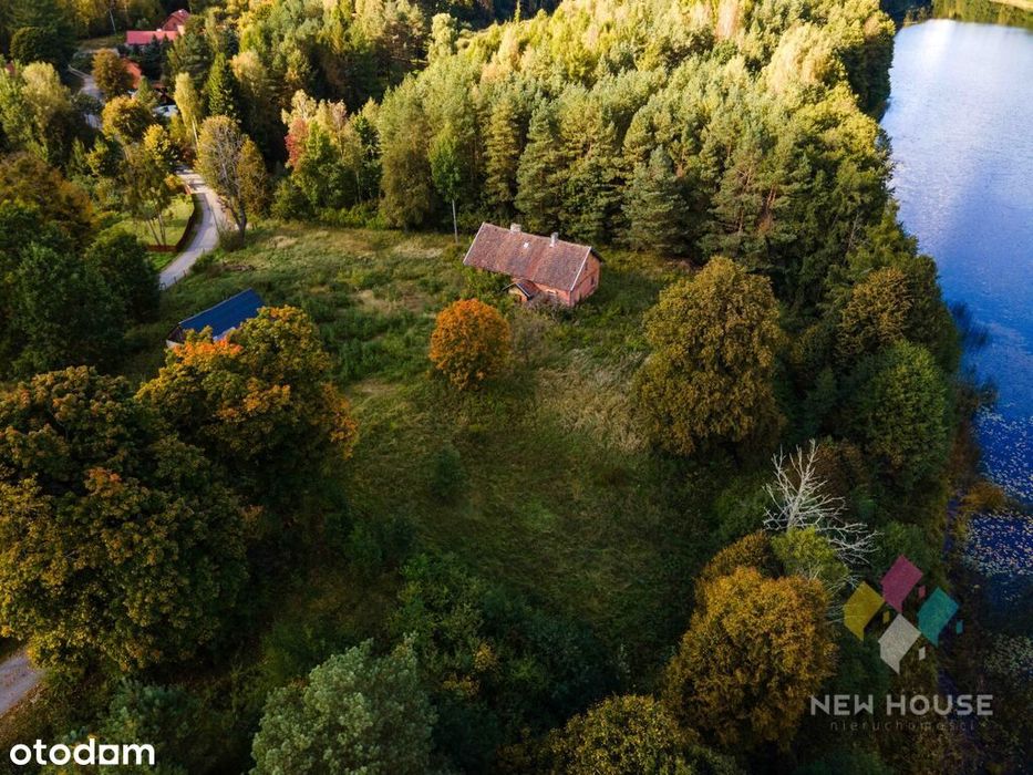 Dłużki, siedlisko nad jez. Dłużek