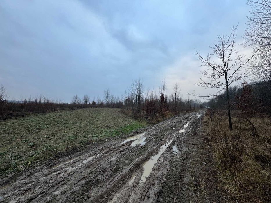 Продаж земельної ділянки в Якушинцях