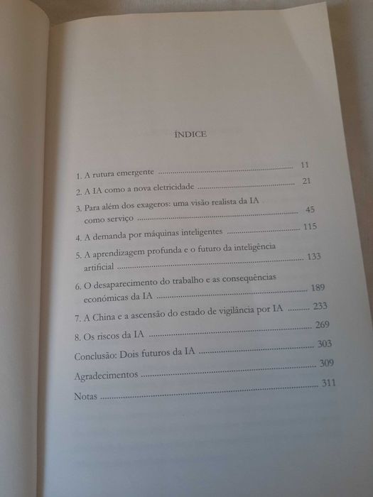 Livro "O Futuro da Inteligência Artificial", de Martin Ford