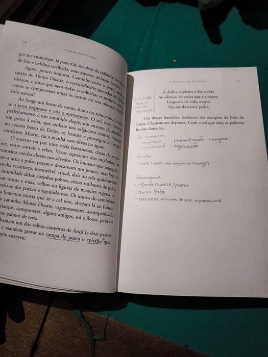 O aprendiz do Feiticeiro