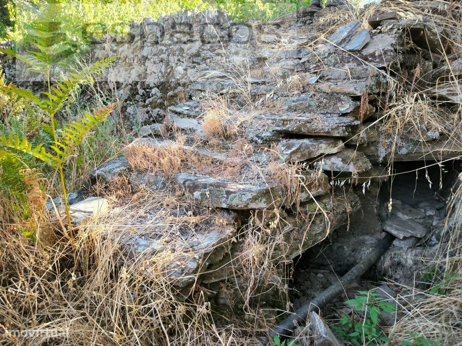 Terreno Agrícola