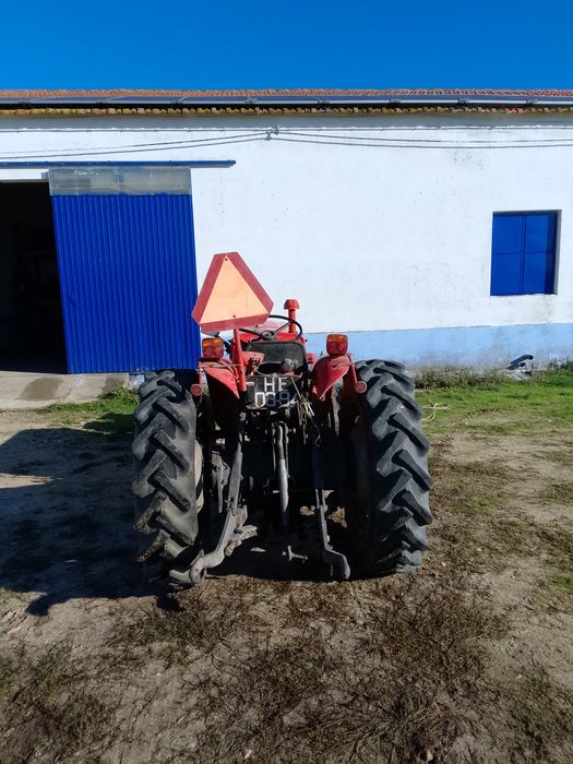 Massey Ferguson 145 vinhateiro