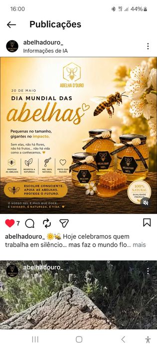 Mel abelha d'ouro