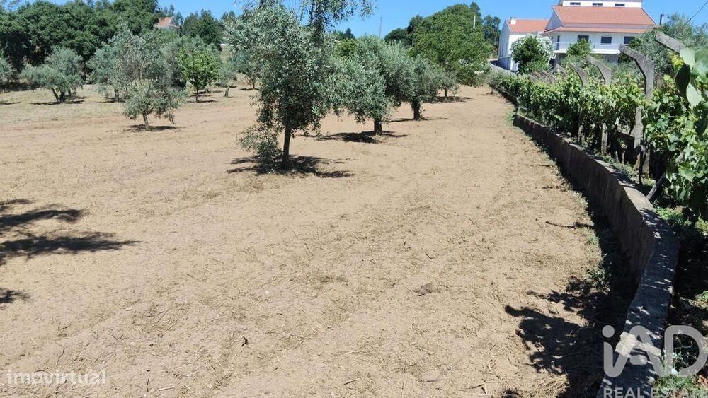 Terreno em Castelo