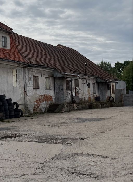 Wynajmę Magazyn Kożuchów Hala