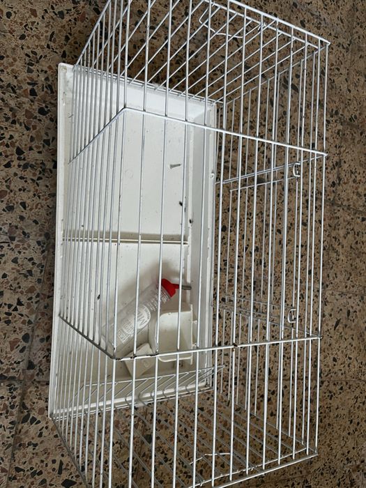 Gaiola animal roedores