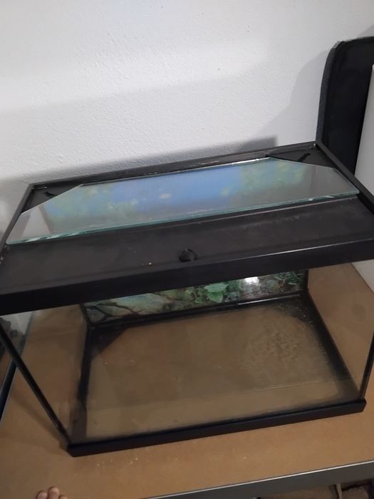Aquário pequeno com lampada