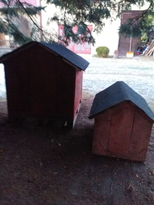 Buda do duzego pieska