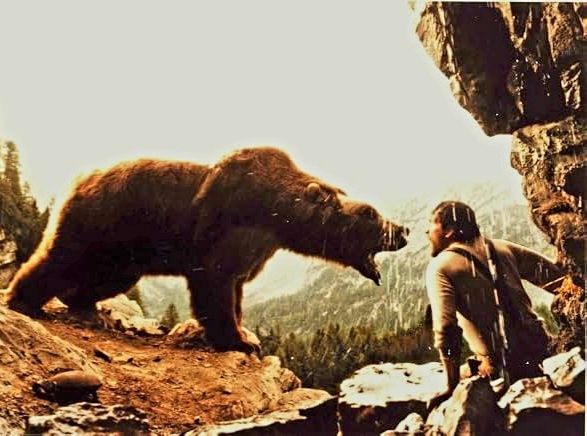 (DVD) O Urso - Jean-Jacques Annaud