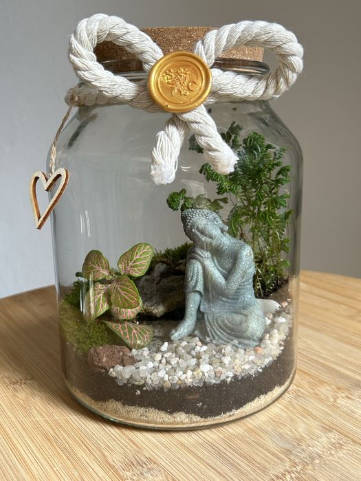 Terrários - plantas interiores