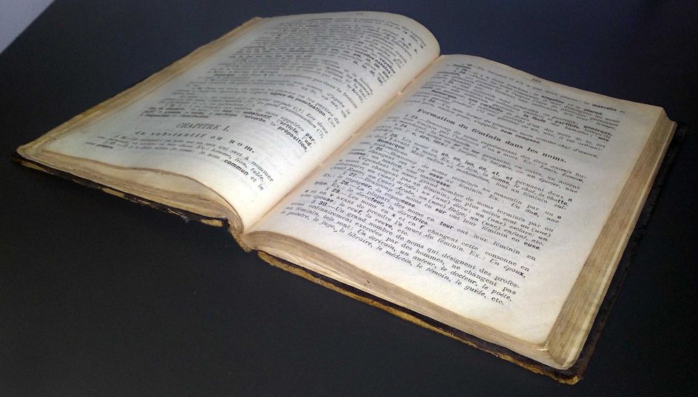 Книга 1903 р Практичний курс французької мови Одеса Фюмель