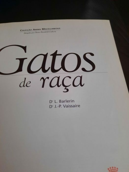 Gatos de Raça Royal Canin