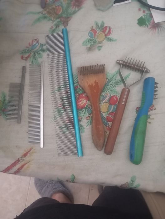 Kit profissional de tosquia