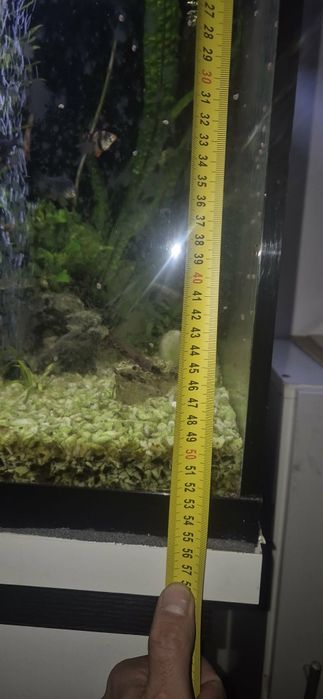 Witam na sprzedaż akwateryrium kostka140 l z życiem cena 800 PLN do ne