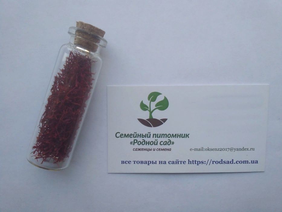 Шафран цибулини 20 шт шафрановый крокус луковицы семена Crocus sativus