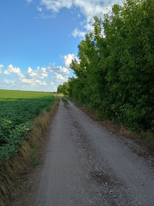 Продам земельну ділянку в с.Стави