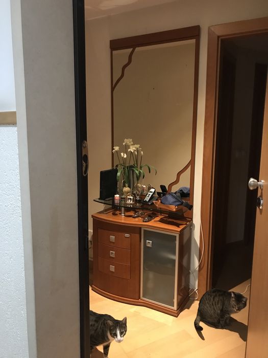 Móvel de entrada com espelho