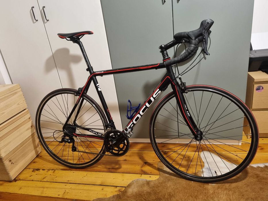 FOCUS CULEBRO サイズM(54) フレームセット focus culebro - Rowery szosowe damskie i męskie | OLX Sport i Hobby