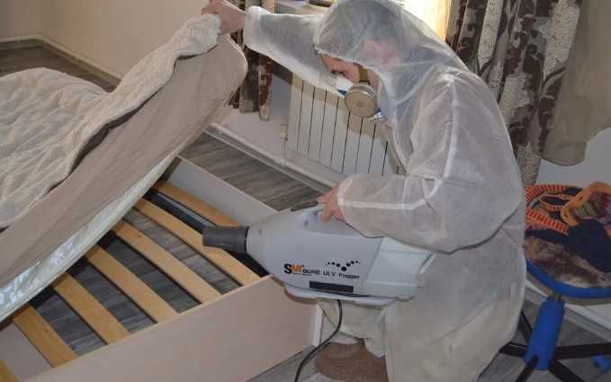 Борьба с крысами и мышами: дератизация, защита от повторного появления