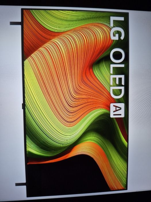 Telewizor LG OLED 65