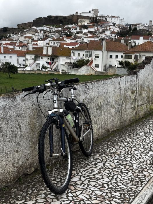 Bicicleta classica de BTT dos 90s - Giant Terrago