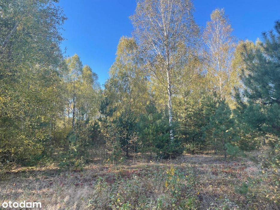 Budowlane- MPZP. Żabieniec blisko Garwolina i Pilawy.  1405 m² - 40x35 - Więcej